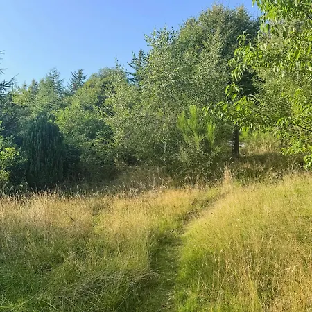 70s Summer House In Nature Near Mols Bjerge Ebeltoft